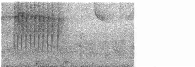 Beyaz Gerdanlı Karıncakuşu - ML610571249