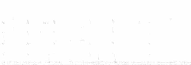Вулкановый колибри - ML610573751