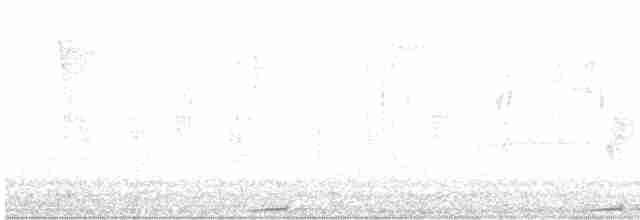 holoubek hnědoprsý - ML610574003