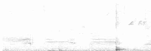 Kara Boyunlu Orman Leyleği - ML610577526