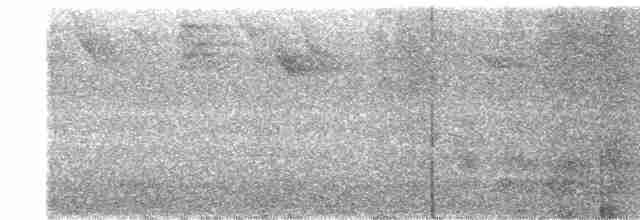 Crested Quail-Dove - ML610578923