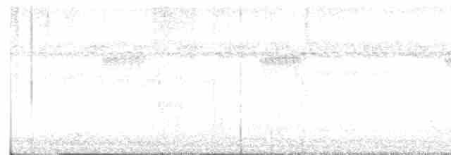 Мускусная утка (Одомашенного типа) - ML610583696