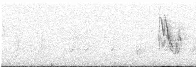 White Wagtail - ML610589355