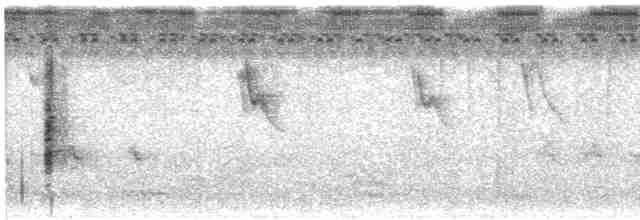Clamorous Reed Warbler - ML610592826