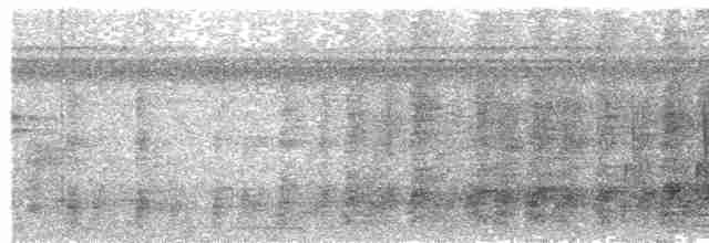 Кратеропа чорноголова - ML610598450