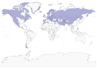 Distribution of the Common Raven - Range Map
