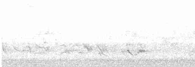 Colibri trompeur - ML610606072