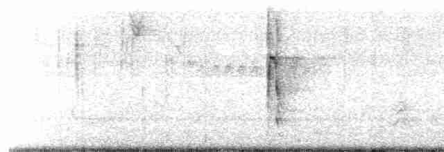 strakapoud americký [skupina harrisi] - ML610606246