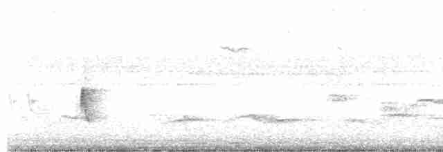 Еленія короткодзьоба - ML610612052
