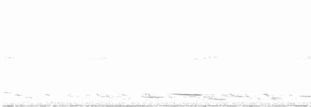 Avustralya Saksağanı [tibicen grubu] - ML610618156