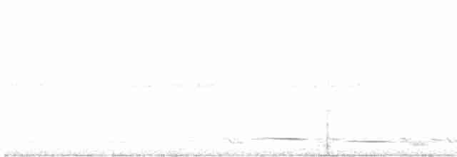 Flötenkrähenstar [tibicen-Gruppe] - ML610618157
