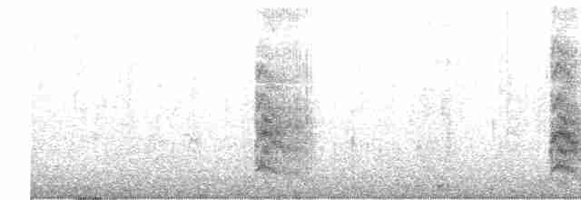 Black-naped Tern - ML610623089