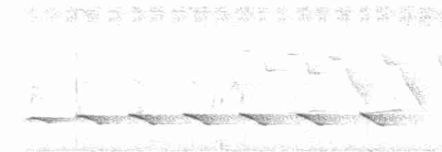 Grallaire teguy - ML610635160