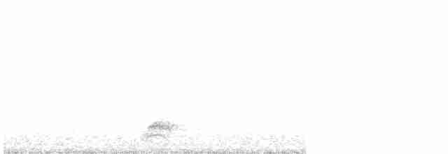 Black-crowned Night Heron - ML610635483