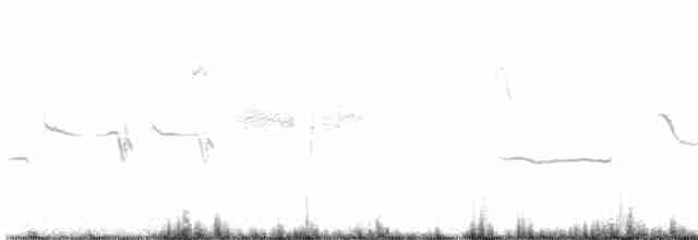 Bruant à couronne blanche (leucophrys) - ML610636844