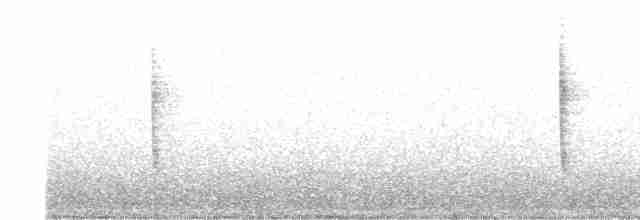 strnadec kaštanový [skupina unalaschcensis] - ML610639735