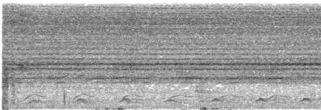Black-tailed Trogon (Black-tailed) - ML610640889