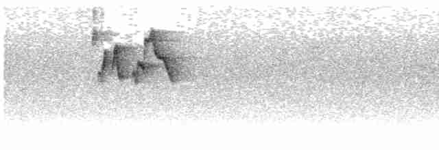 Gray-hooded Warbler - ML610648228