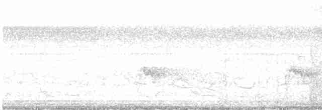 Çizgili Sırtlı Çıtkuşu - ML610651531