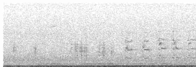 Great Reed Warbler - ML610662571