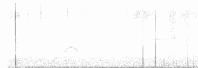 White-crested Elaenia - ML610663410