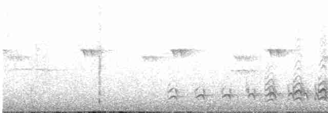 Planalto Slaty-Antshrike - ML610668482