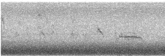 Kara Karınlı Kumkuşu (pacifica/arcticola) - ML610673638