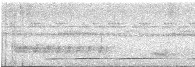 Channel-billed Toucan (Yellow-ridged) - ML610677927