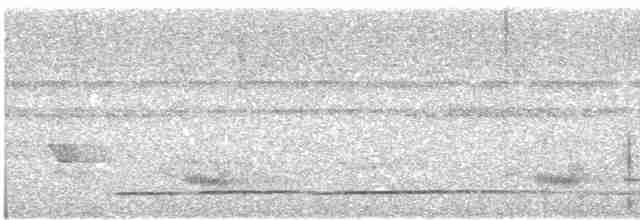 Channel-billed Toucan (Yellow-ridged) - ML610677993