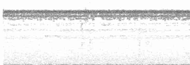 Gözlüklü Yerçavuşu - ML610681653