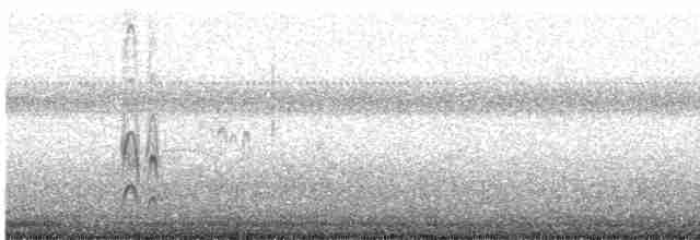 Морской зуёк (alexandrinus/nihonensis) - ML610687073
