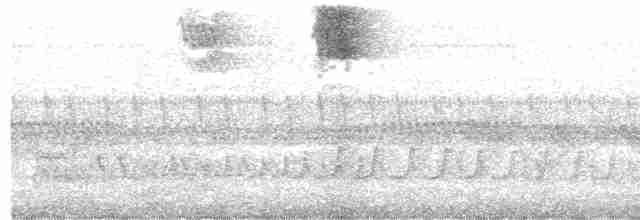 Тиран-крихітка світлогорлий - ML610695526