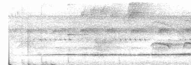 Variegated Tinamou - ML610695610