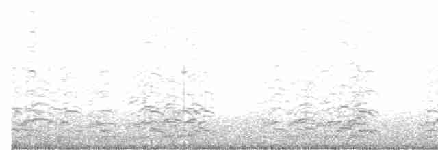 Малая канадская казарка (leucopareia) - ML610701170