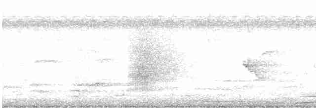 holub neotropický - ML610710744