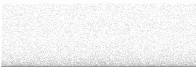 Черноспинный трёхпалый дятел - ML610722570