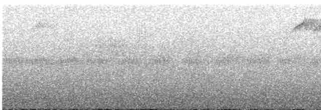Kestane Karınlı Baştankara - ML610727404