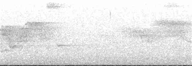 Ширококрылый канюк - ML61072861