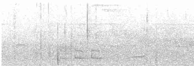 Turuncu Göğüslü Trogon - ML610732171