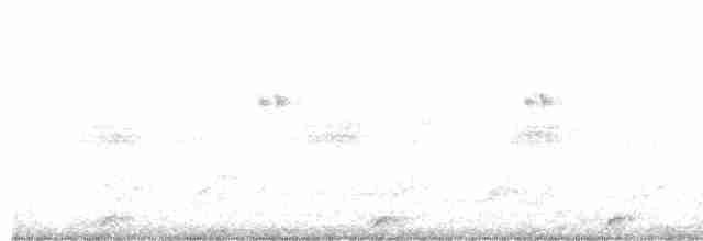 Pauraquenachtschwalbe - ML610733307