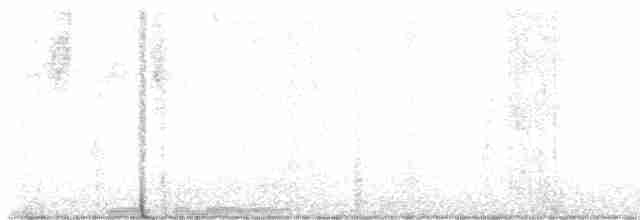 White-crested Elaenia - ML610738033