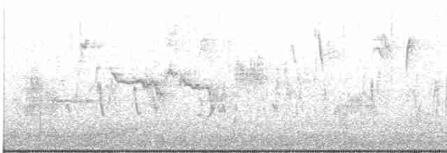 Bruant à couronne blanche (leucophrys) - ML610738078