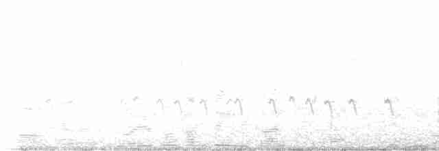 Red Crossbill (Ponderosa Pine or type 2) - ML610740950