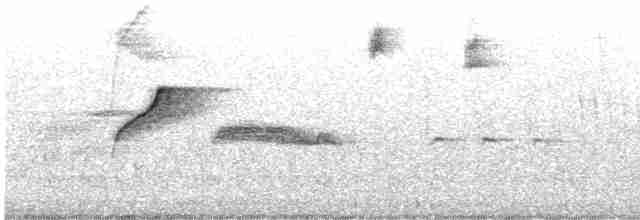 Batı Amerika Sinekkapanı (occidentalis/hellmayri) - ML610746778