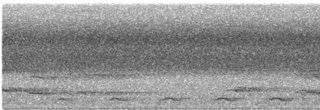 Black-tailed Trogon - ML610752001