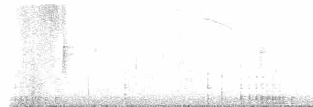 Double-crested Cormorant - ML610752750