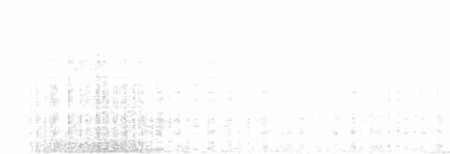 Кустарниковый скрытохвост - ML610757332