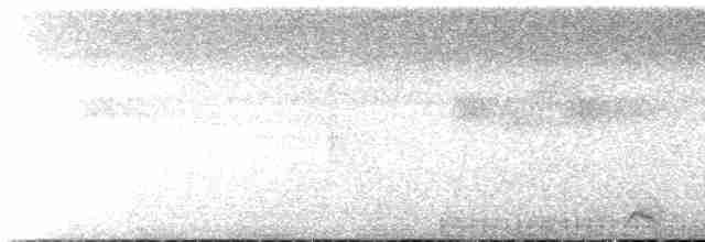 Trogón de Baird - ML610758317
