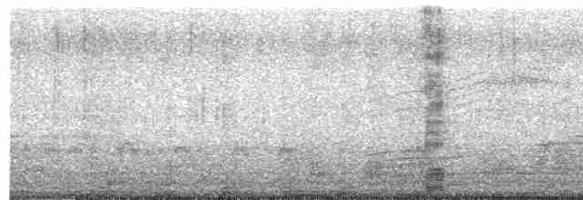 Neotropic Cormorant - ML610761334