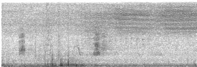 חרטומית סיבירית - ML610769444